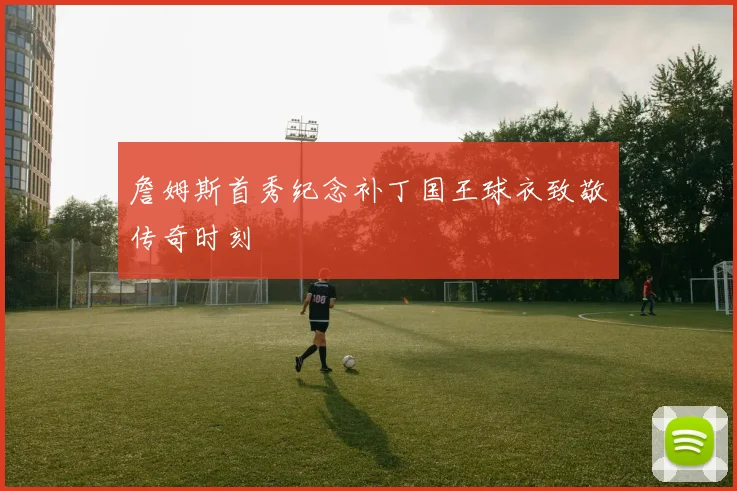詹姆斯首秀纪念补丁国王球衣致敬传奇时刻